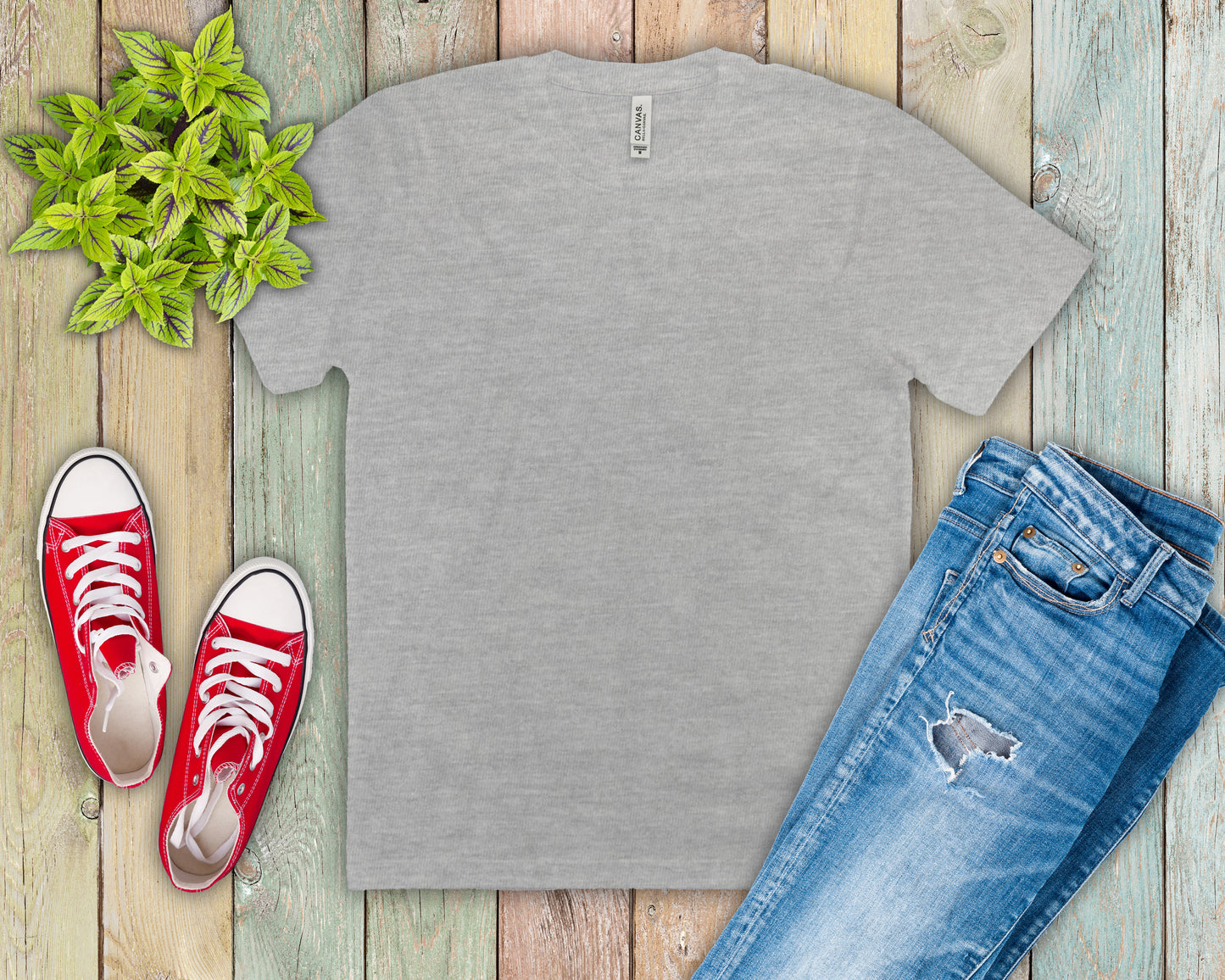 Unisex Jersey Short Sleeve Tee (Most Popular)