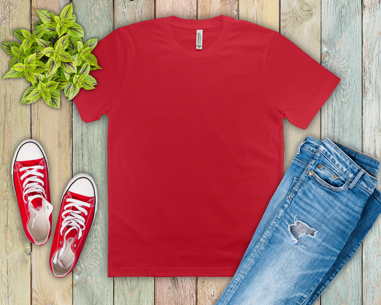 Unisex Jersey Short Sleeve Tee (Most Popular)