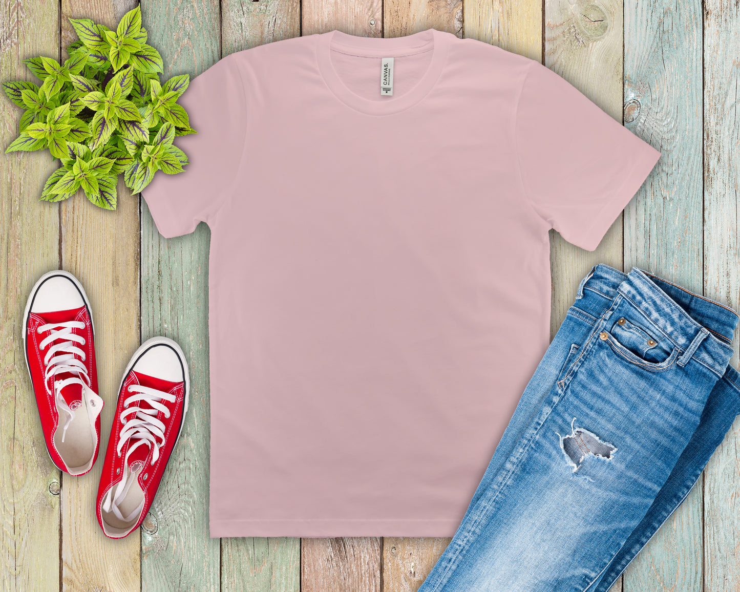 Unisex Jersey Short Sleeve Tee (Most Popular)