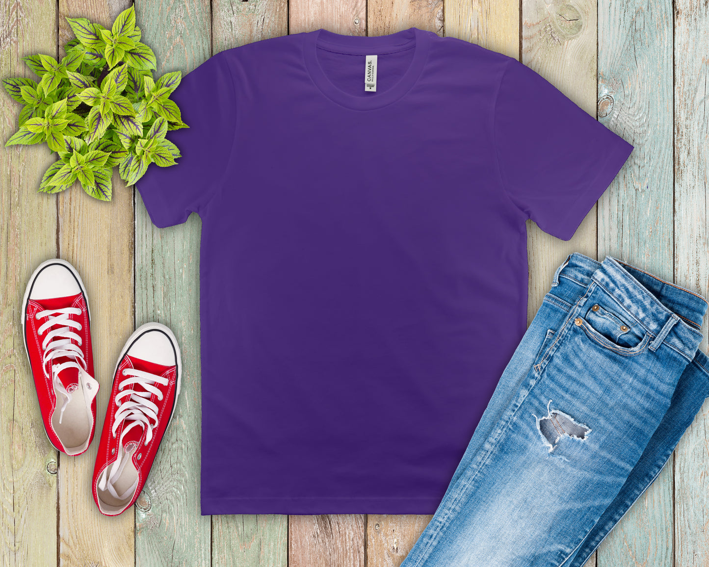 Unisex Jersey Short Sleeve Tee (Most Popular)