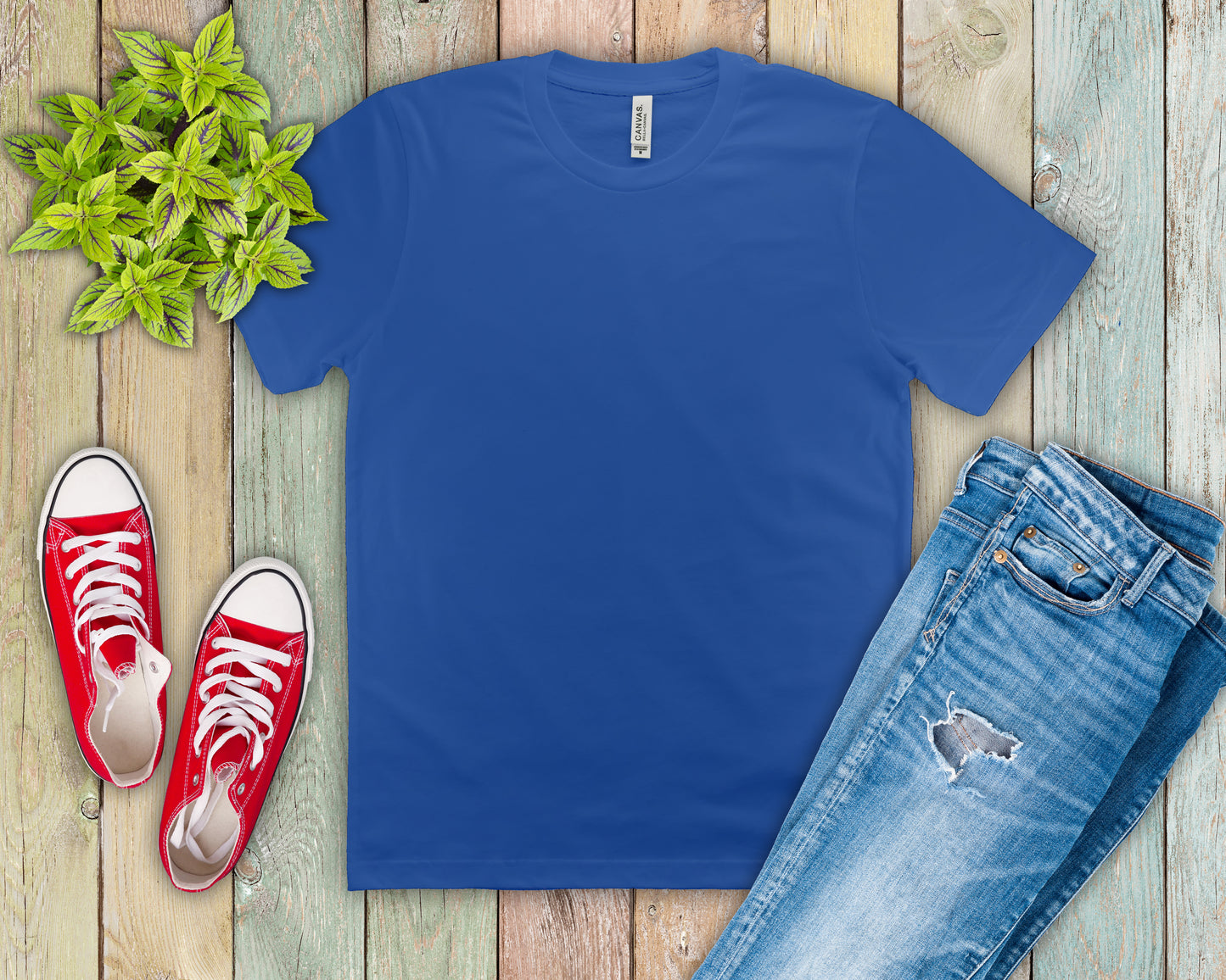 Unisex Jersey Short Sleeve Tee (Most Popular)