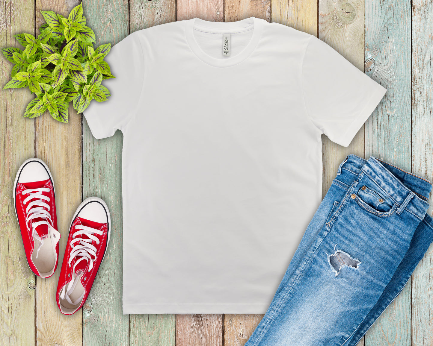 Unisex Jersey Short Sleeve Tee (Most Popular)