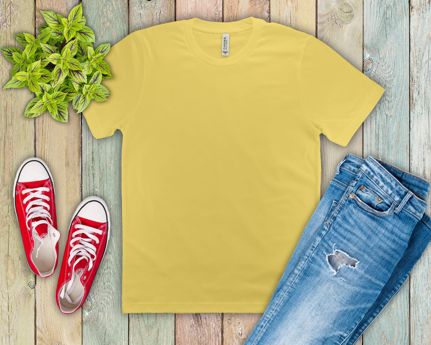 Unisex Jersey Short Sleeve Tee (Most Popular)