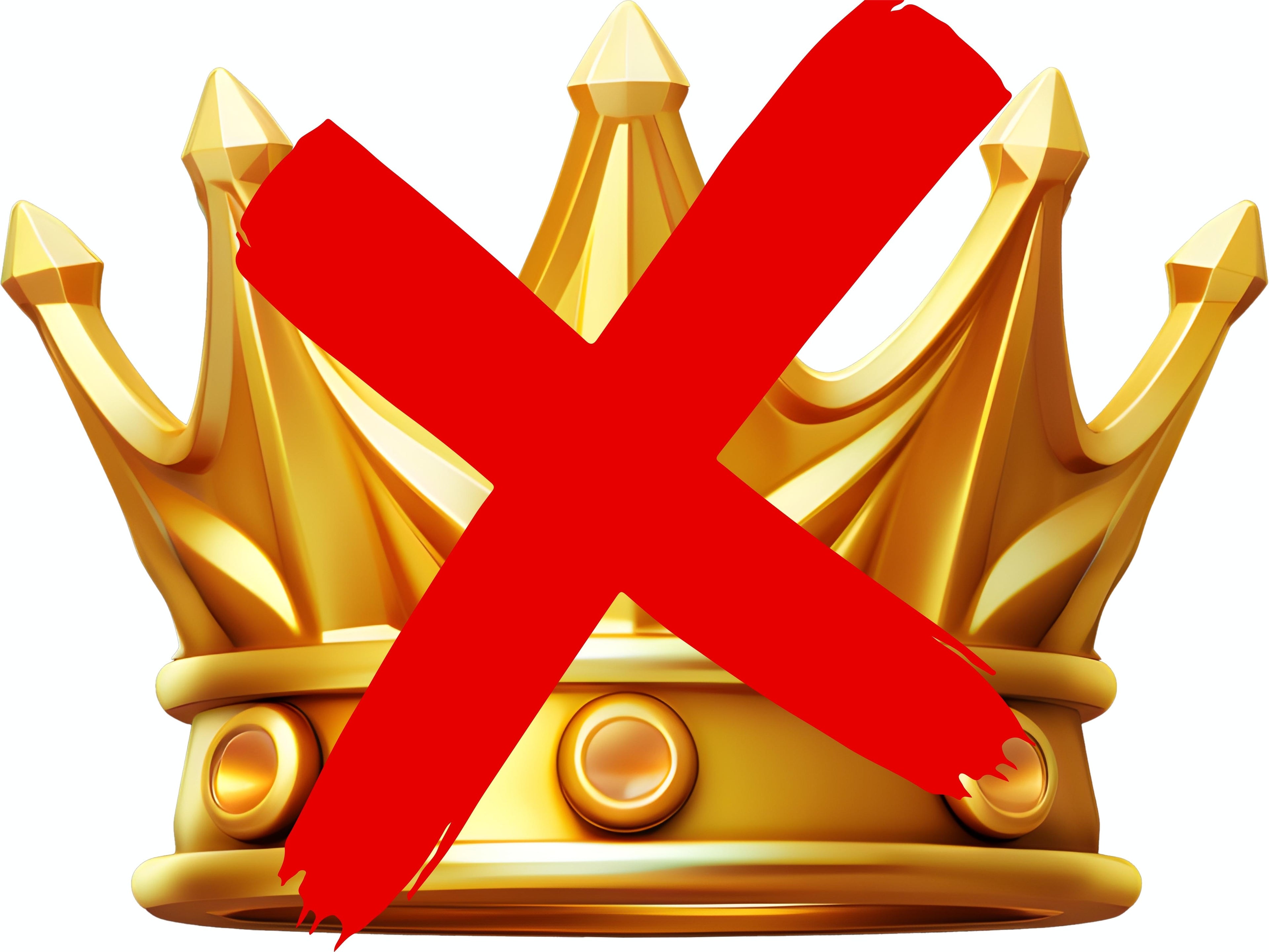 24x18 “No Kings” Protest INDIVIDUAL Yard Signs – Stand Loud. Stand Proud