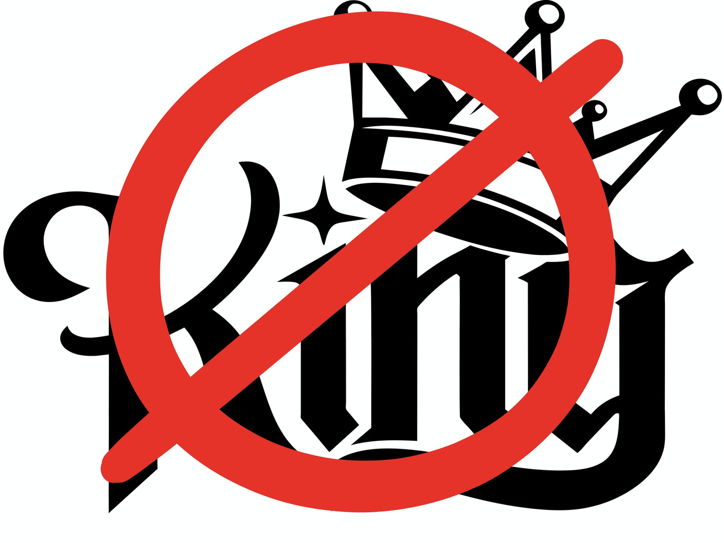 24x18 “No Kings” Protest INDIVIDUAL Yard Signs – Stand Loud. Stand Proud